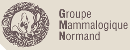 logo GMN